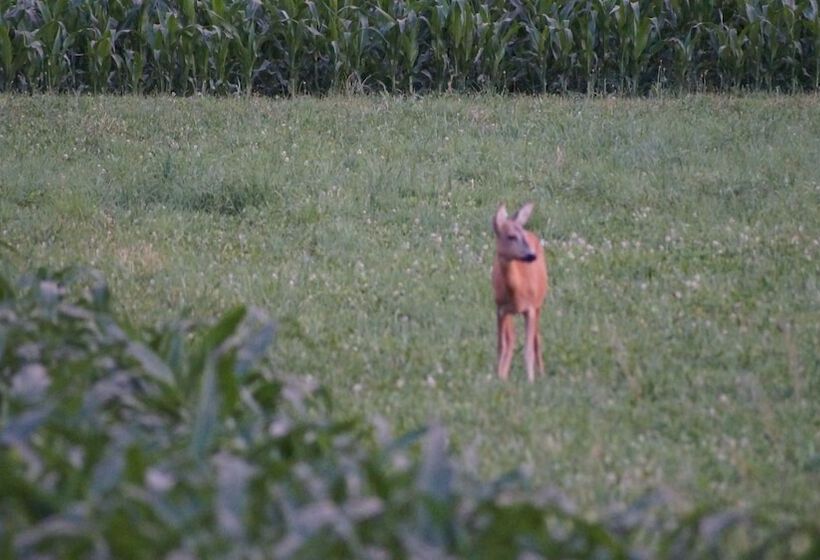 ホテル Landhaus Noreia