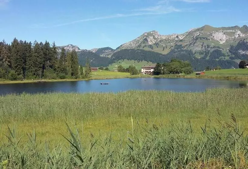 Hotelli Restaurant Schönau