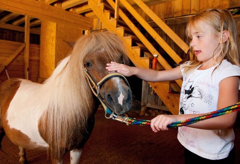 酒店 Wohlfühlresort Und Feriengut Martinerhof