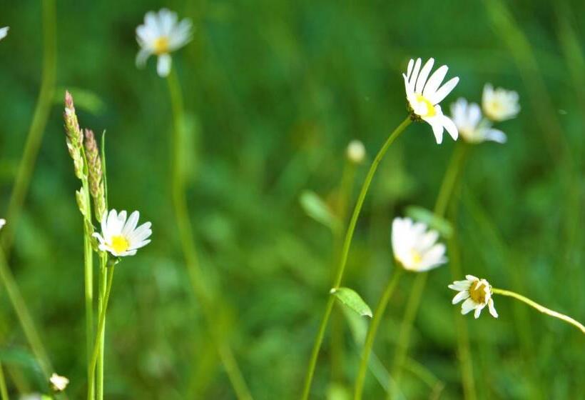 See Hotel Post Am Attersee