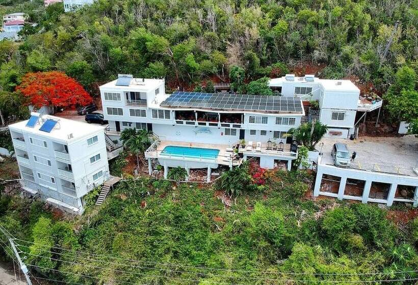 پانسیون Island View Guesthouse