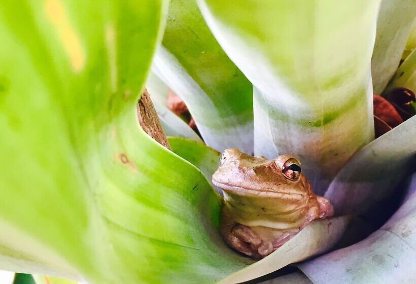 پانسیون Island View Guesthouse