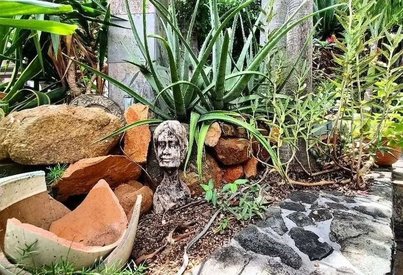 پانسیون Island View Guesthouse