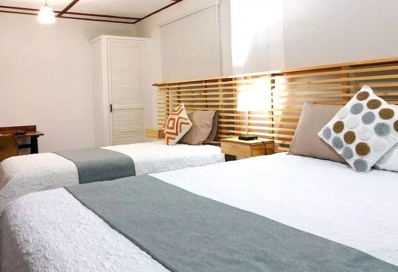 Trebol Amarillo Bed & Breakfast