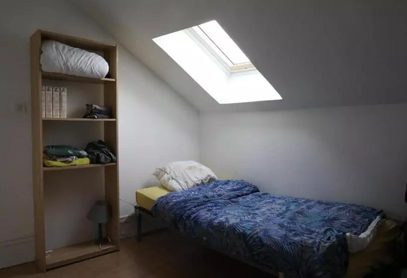 ユースホステル Appartement Duplex Lille 2