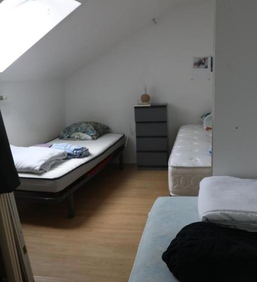 호스텔 Appartement Duplex Lille 2