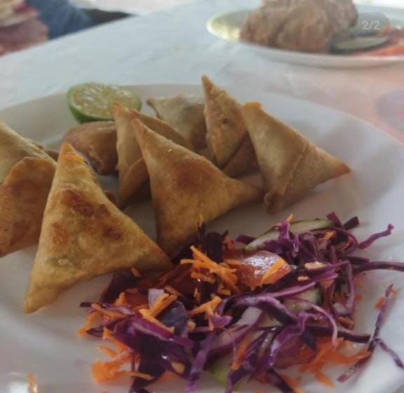 هاستل Comba Bush