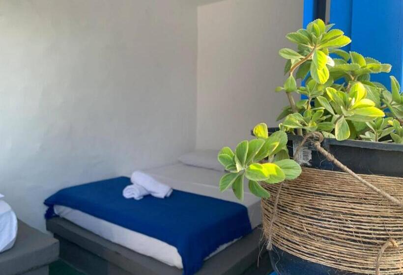 旅馆 Dumangue Kite House