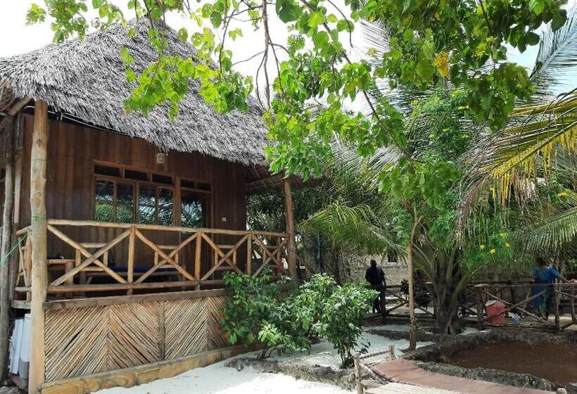 مبيت وإفطار Jambiani Wood House