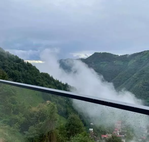 ホテル Forest Bungalov