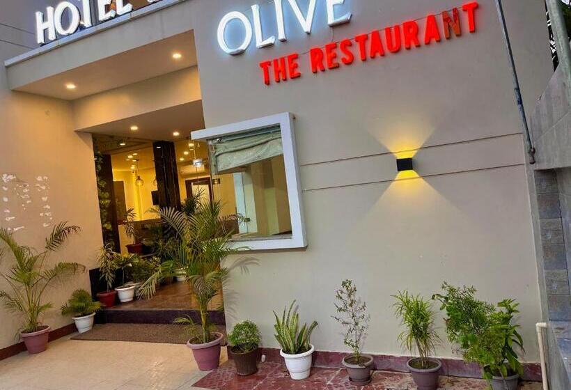 Hôtel Olive Vault, Most Awarded Property In Haridwar