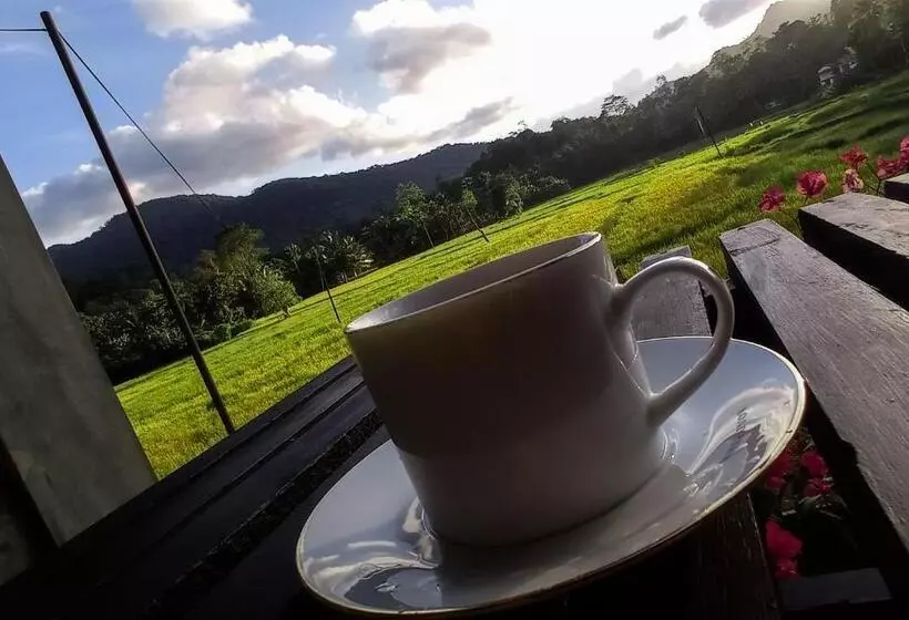 Hotelli Rain Forest Star