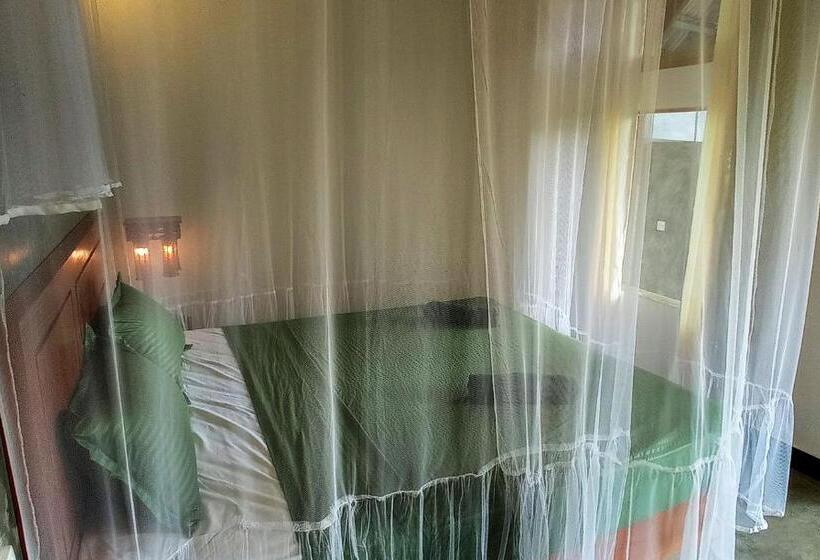 Hotel Rain Forest Star