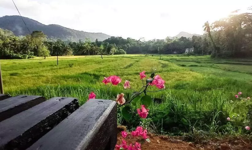 Hotelli Rain Forest Star