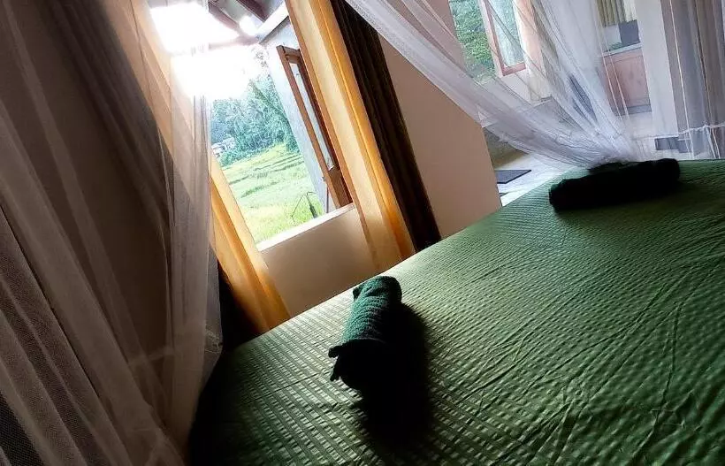 Hotelli Rain Forest Star