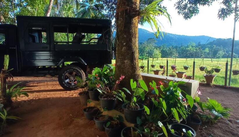 Hotel Rain Forest Star