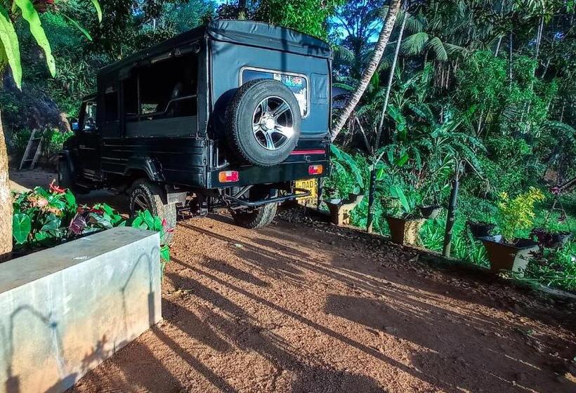 Hotel Rain Forest Star