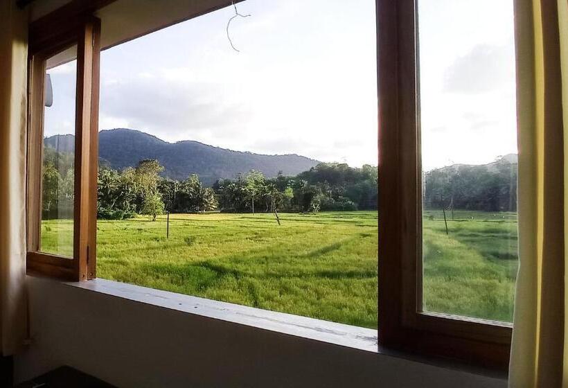 Hotel Rain Forest Star