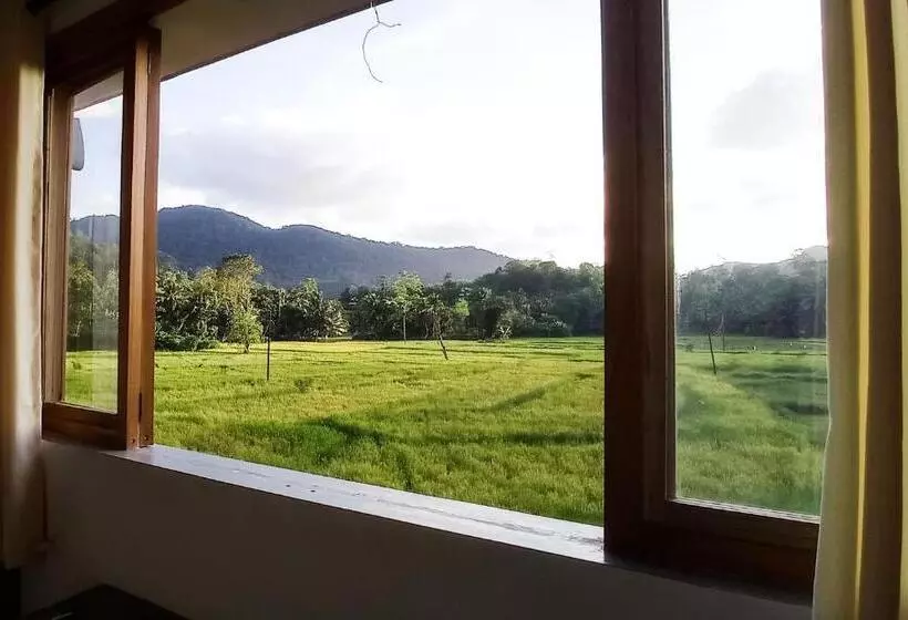 Hotelli Rain Forest Star