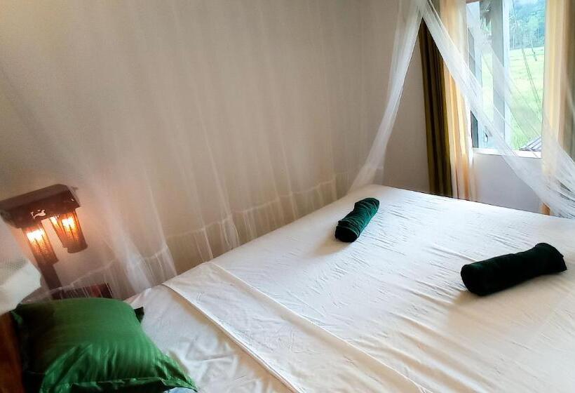 Hotel Rain Forest Star