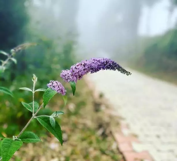 Kana Mud An Ethnic Village Resort   Unforgettable Experience In Mountains