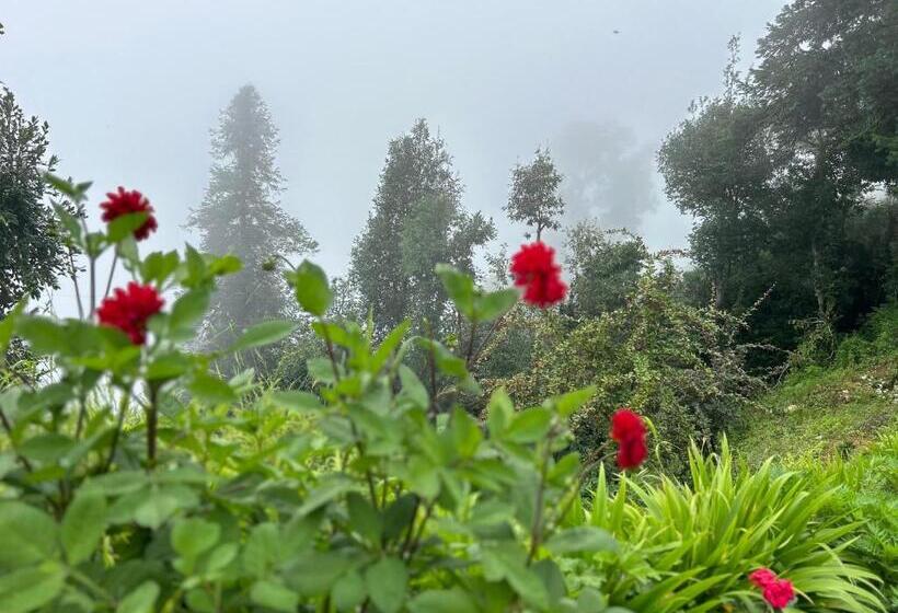 Kana Mud An Ethnic Village Resort Unforgettable Experience In Mountains