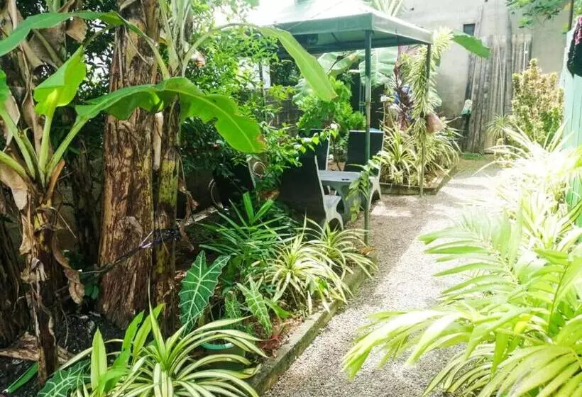 پانسیون Senith Villa