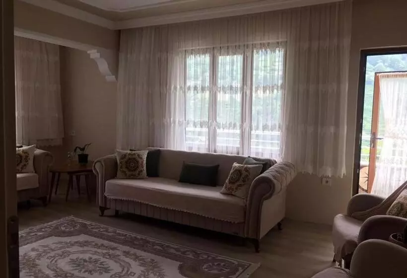 Sahin House