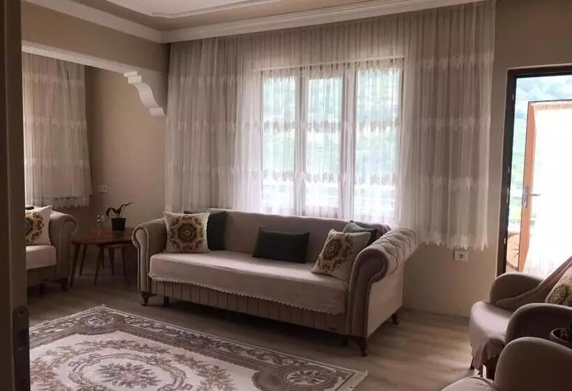 Sahin House