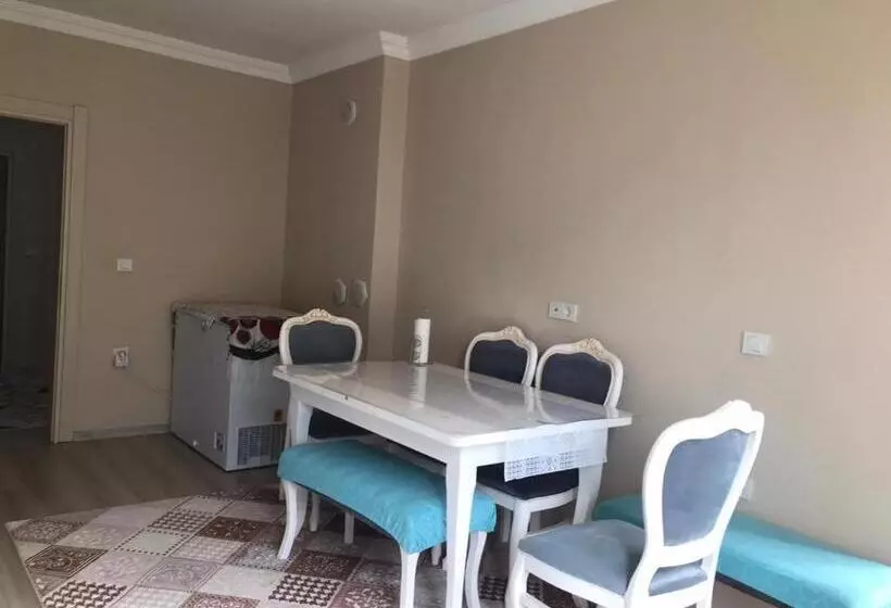 Sahin House