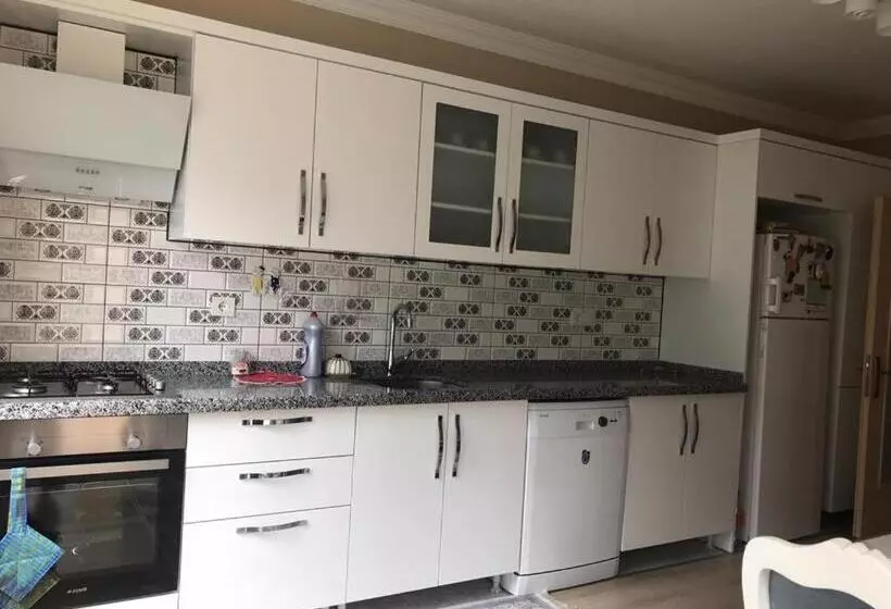 Sahin House