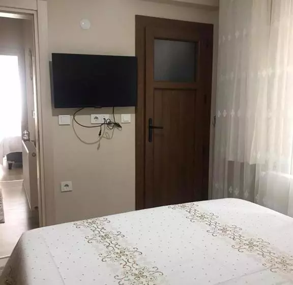 Sahin House