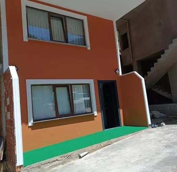 Sahin House
