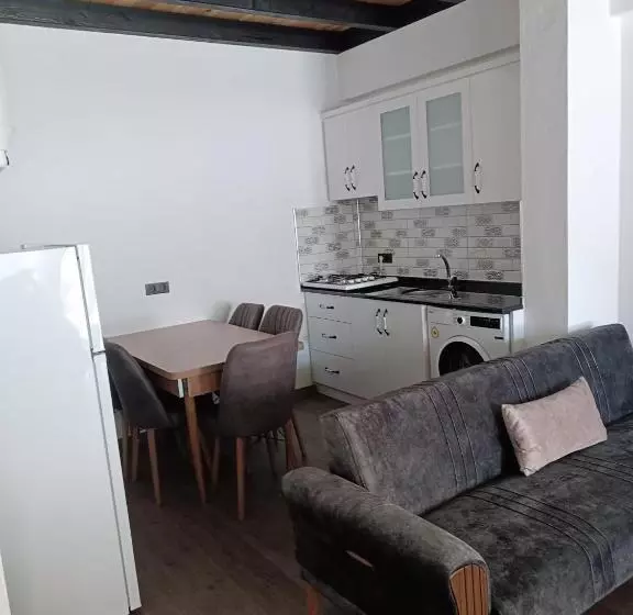 Sahin House