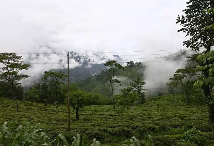 Lomakeskus Tumsong Tea Retreat