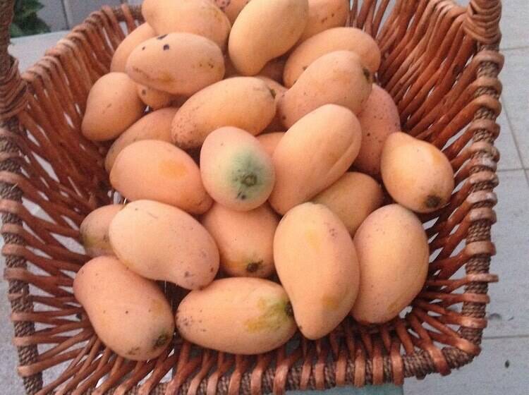 Appart'hotel Costa Verde