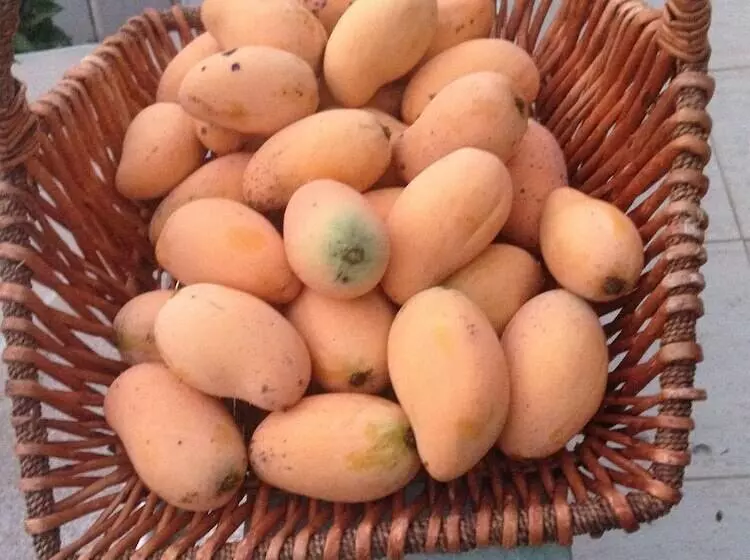 Appart'hotel Costa Verde