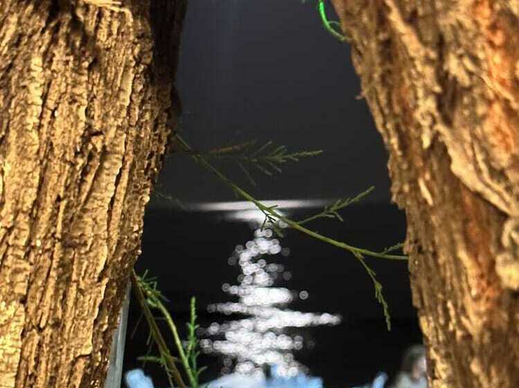 Bed and Breakfast Apelles Butik Otel