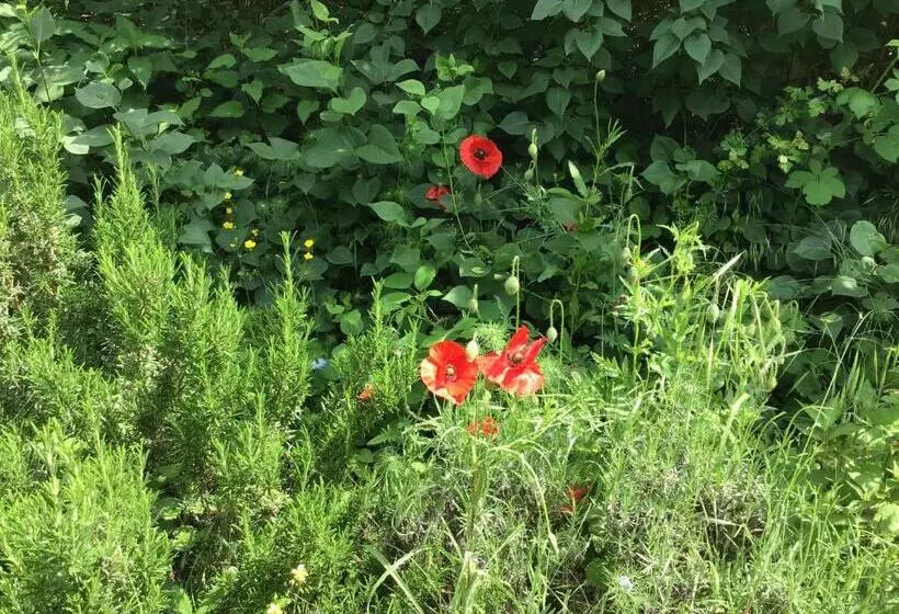 Aamiaismajoitus (B&B) Le Domaine