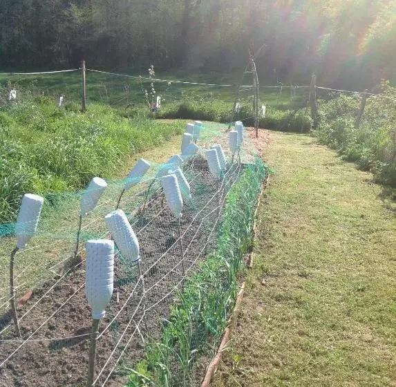 Aamiaismajoitus (B&B) Le Domaine