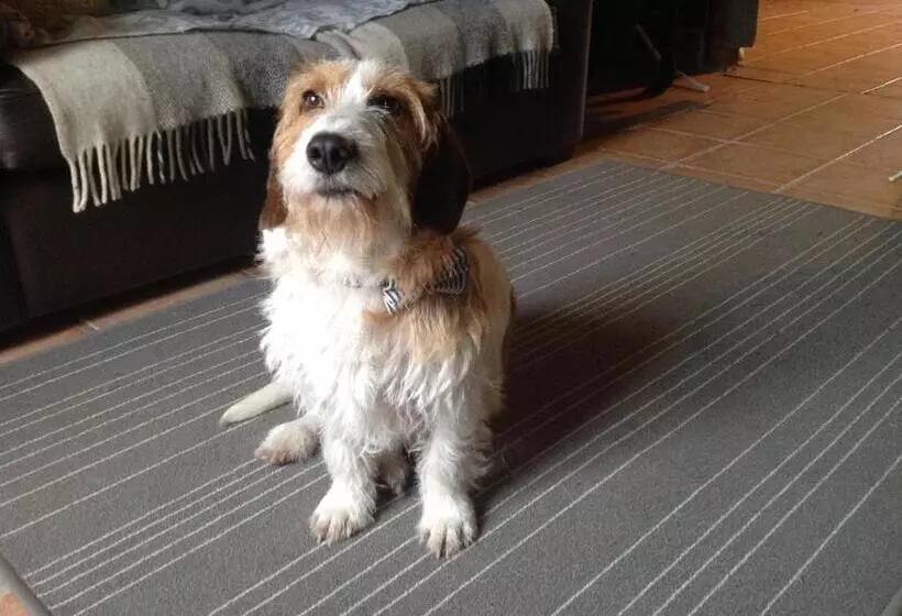 Aamiaismajoitus (B&B) Le Domaine