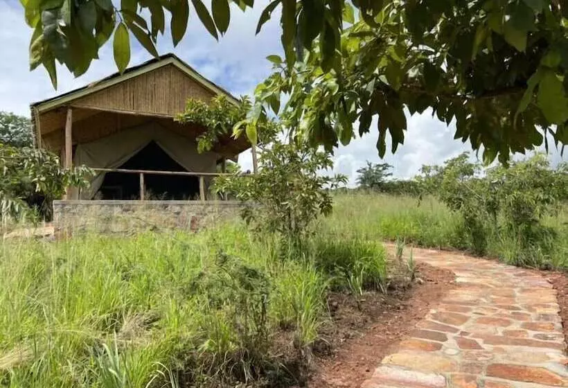 هتل Akagera Rhino Lodge