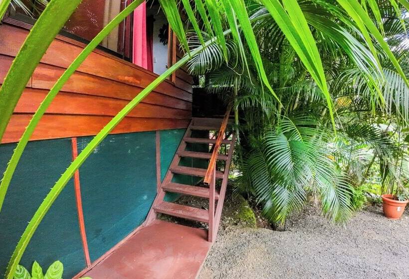 ホテル Bungalows Las Iguanas Arenal Volcano