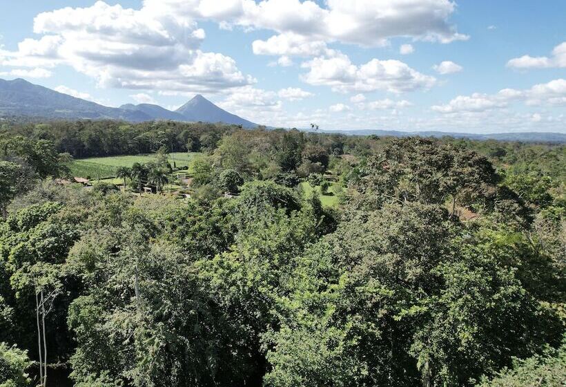 ホテル Bungalows Las Iguanas Arenal Volcano