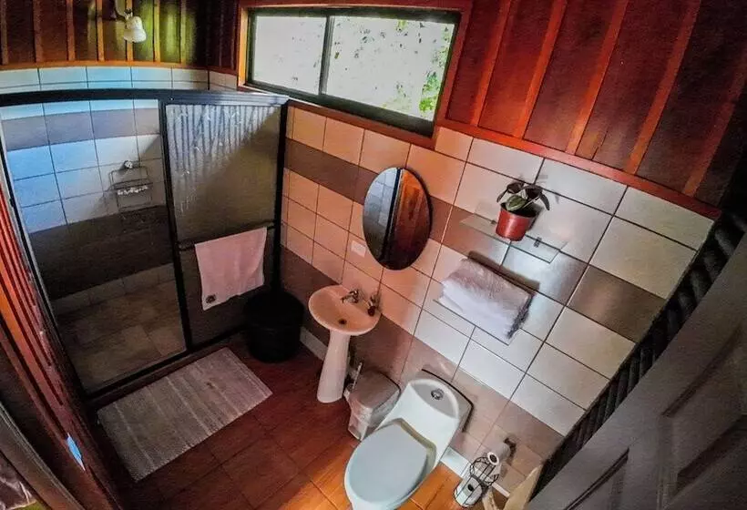 Hotelli Bungalows Las Iguanas Arenal Volcano