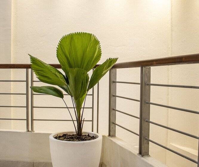 호텔 Casa Don Chepe Pinotepa