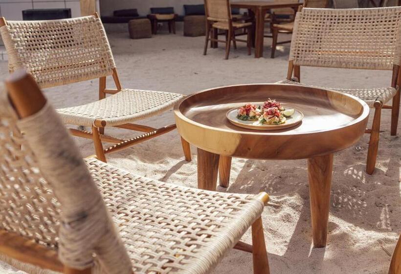 فندق Elmoro Tamarindo