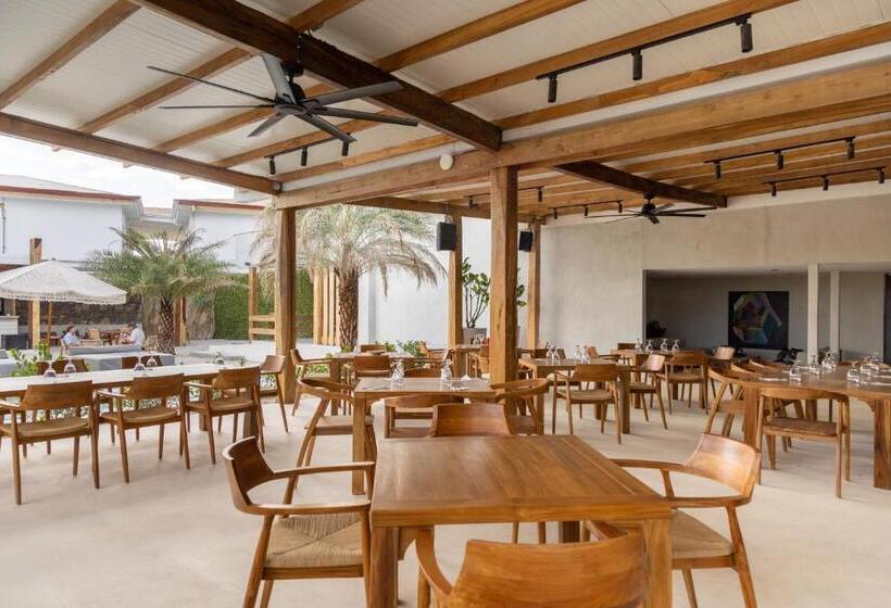 فندق Elmoro Tamarindo