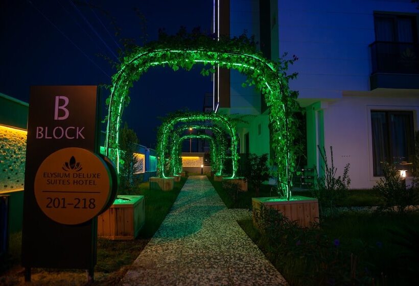 هتل Elysium Deluxe Suites