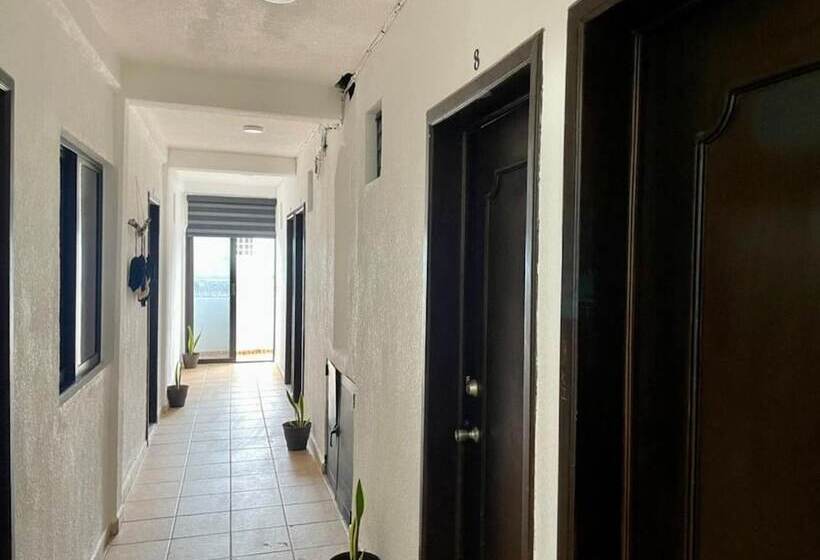 ホテル Mayab Playa   5th. Ave